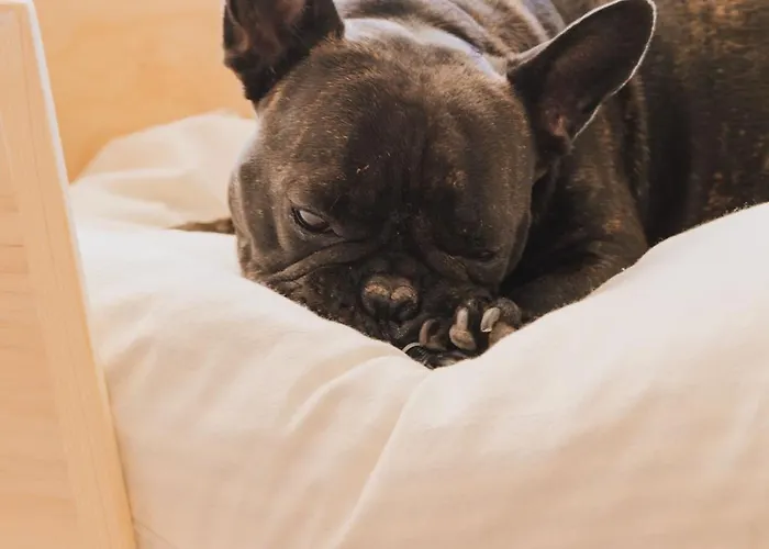 Me Terramar Szálloda